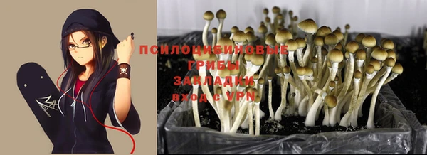 гидропоника Белоозёрский