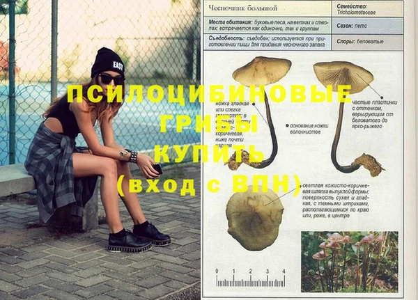 первитин Сосновка